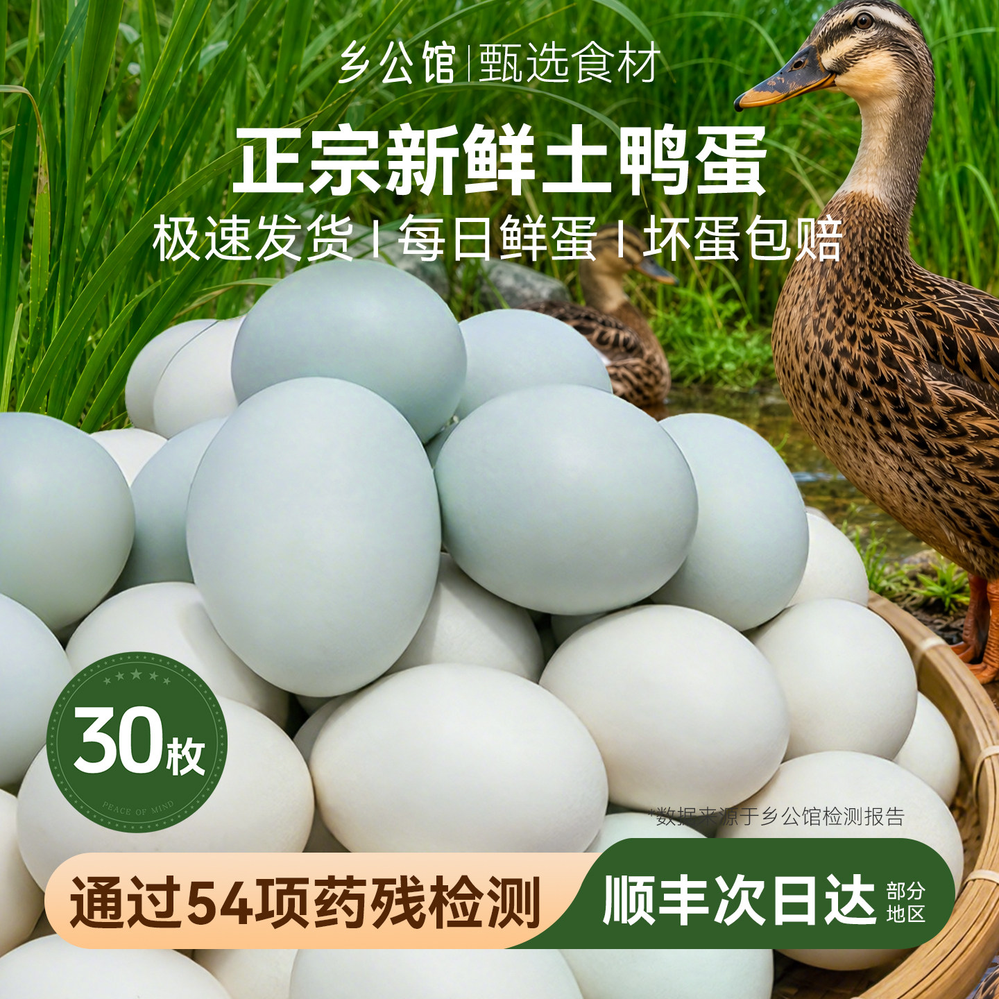 乡公馆鸭蛋新鲜生鸭蛋农家散养土鸭蛋官方旗舰店正宗绿壳鸭蛋整箱