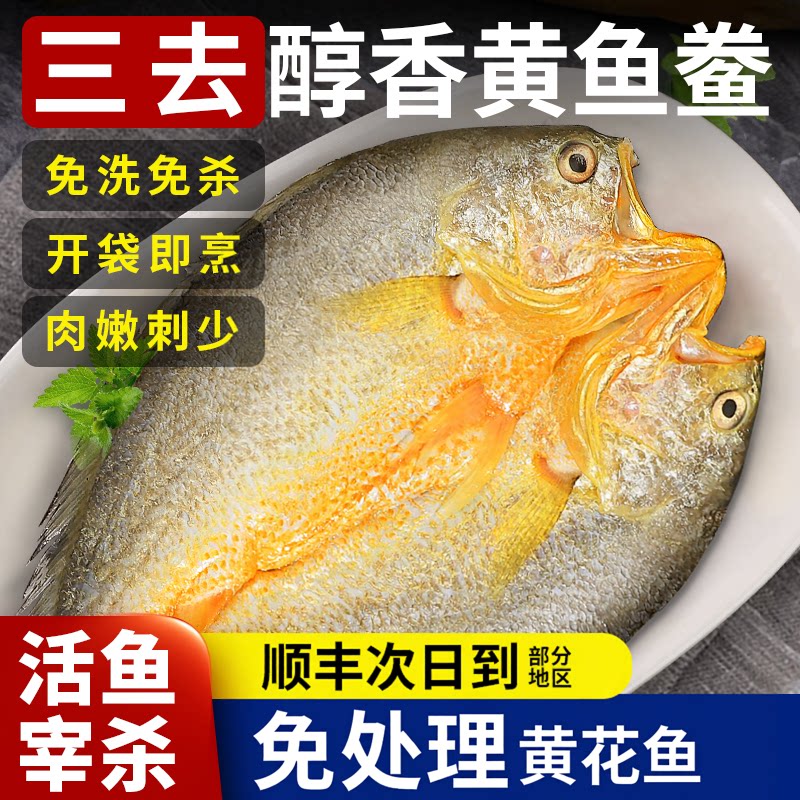 黄鱼鲞新鲜开背三去大黄鱼