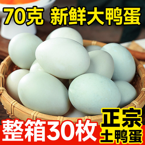 正宗土鸭蛋鲜鸭蛋农家散养青壳鸭子蛋大个新鲜生鸭蛋30枚整箱