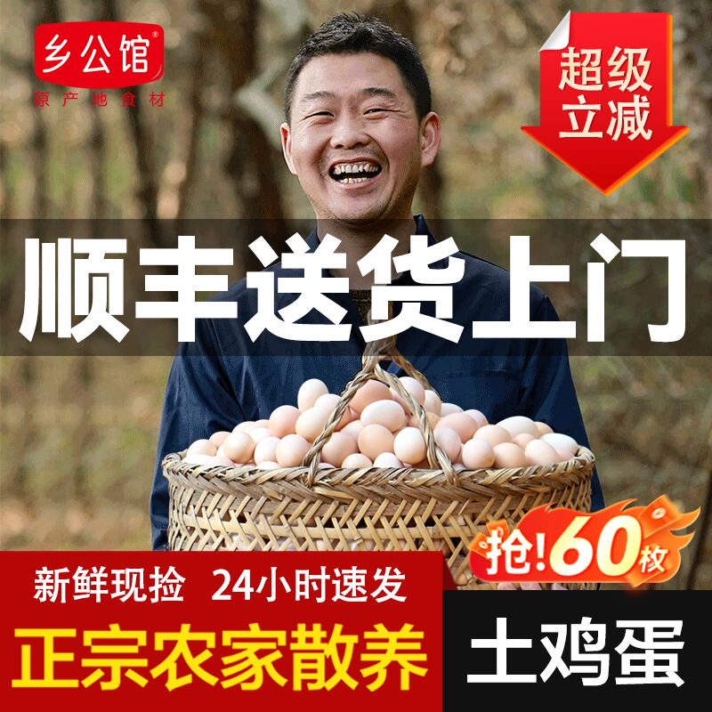 乡公馆鸡蛋新鲜土鸡蛋正宗农家散养初生鲜鸡蛋60枚整箱笨草柴鸡蛋