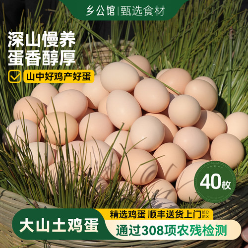 乡公馆大山土鸡蛋正宗散养