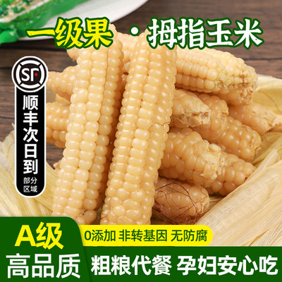 顺丰包邮版纳拇指小玉米