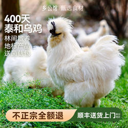 泰和乌鸡旗舰店正宗江西泰和原种乌骨鸡白凤老活鸡土乌鸡新鲜现杀