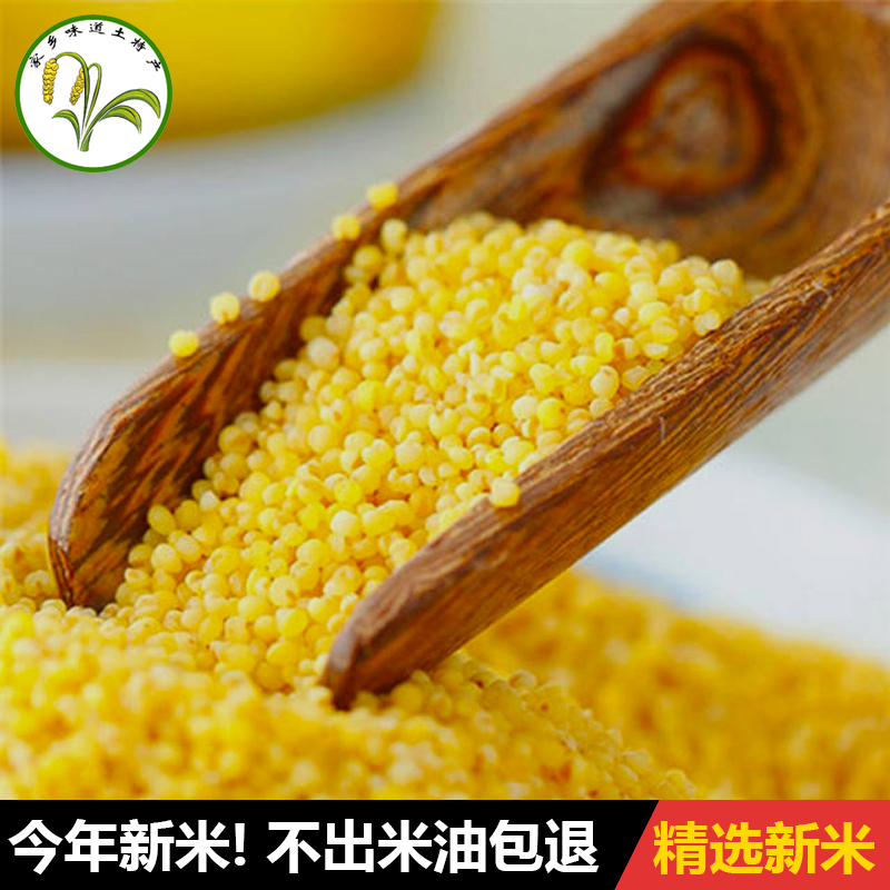 山东滨州特产2024新黄小米袋装食用谷物10斤包邮农家自产米脂粮食