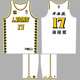CBA浙江广厦队球衣孙铭徽胡金秋朱俊龙10号美式篮球服定制比赛服