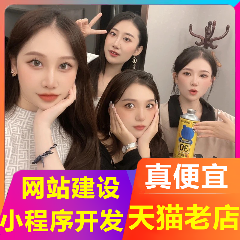 企业网站建设网页定制作设计公司做网站建站搭建模板开发全包SEO