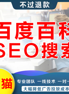 百度百科认证人物创建网站seo排名优化收录维基geo谷歌搜索抖音AI