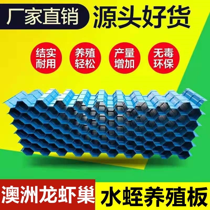 澳洲龙虾养殖巢螃蟹巢水蛭板虾屋