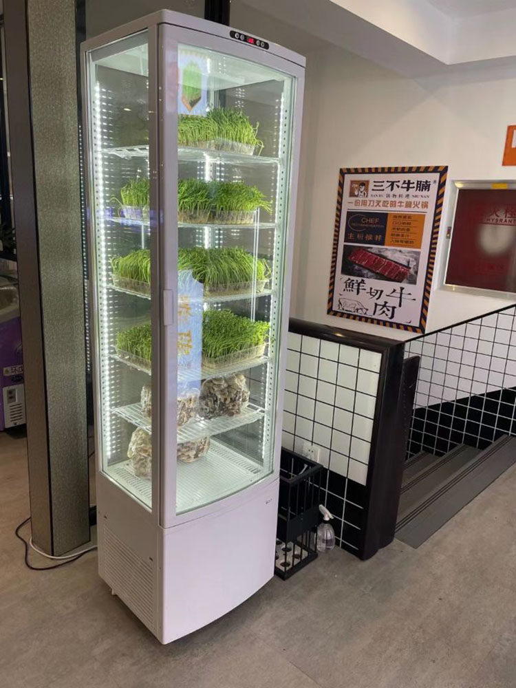 劳特四面透明玻璃冷藏柜饮料卤菜蛋糕保鲜柜肉类展示柜冷柜立式