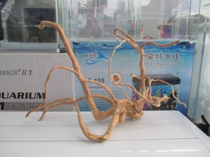 草缸造景流木 天然杜鹃根 1901号 天然杜鹃根 大号精品 杜鹃根优