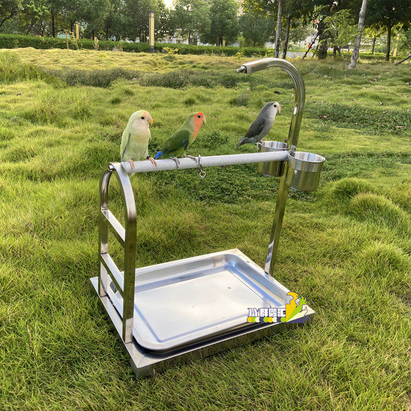 中小型鹦鹉桌面站架伯劳玄凤虎皮牡丹不锈钢落地手养训练鸟架子