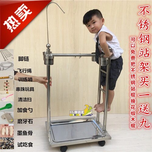 中大型鹦鹉站架 不锈钢梯子架 带楼梯鸟架 鹦鹉脚链 磨爪棍 鸟笼