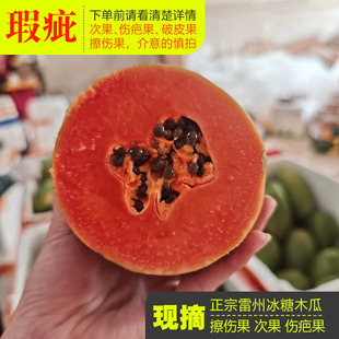 丑红心木瓜雷州瑕疵果榨汁果专用新鲜水果现摘现发果切树上熟