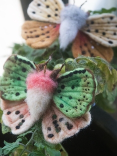 【植作】限量AFTERFLY原创手工羊毛毡春季彩色仿真飞蛾胸针钥匙扣