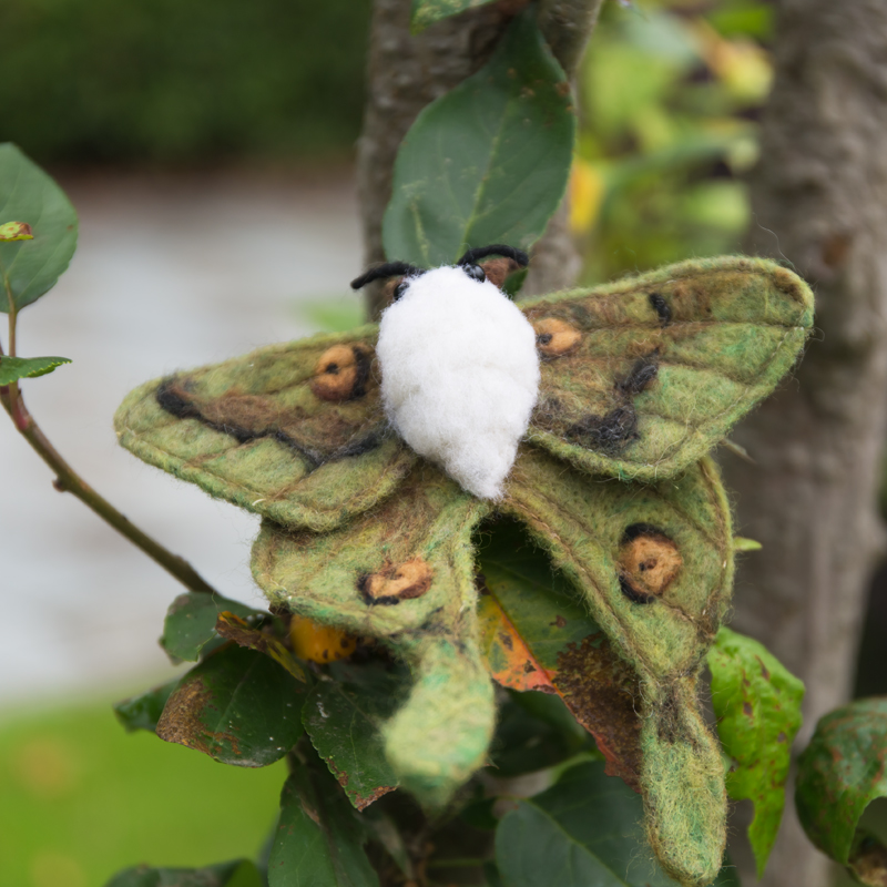 【植作】afterfly原创手工刺绣彩色仿真飞蛾长尾水青蛾羊毛毡胸针