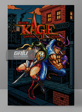 赤影战士装饰画FC红白机墙画NES游戏挂画怀旧原创收藏高清壁画