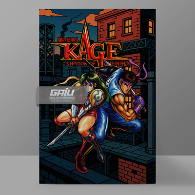 赤影战士FC红白机装饰画