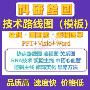 流程图技术路线图代画美化国自然生物医学路线图流程图框架图模板