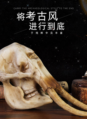 仿真教学道具摆件动物骨骼