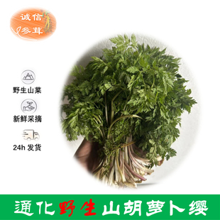 通化新鲜野生山胡萝卜缨1斤包邮山野菜小叶芹无农残天然绿色