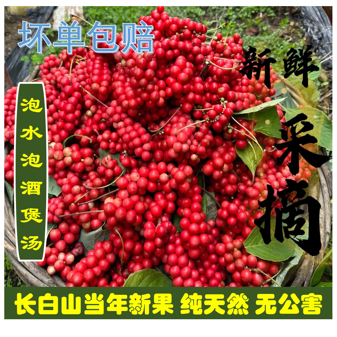 长白山新鲜野生五味子500g包邮东北吉林土特产泡酒泡水损坏包赔