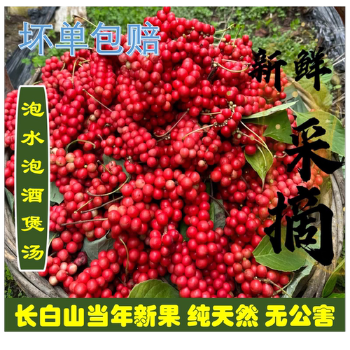 吉山缘长白山野生五味子500g