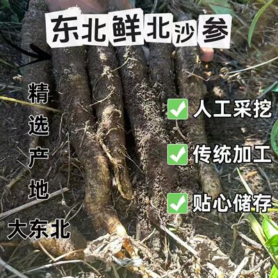 东北鲜北沙参大东北特产