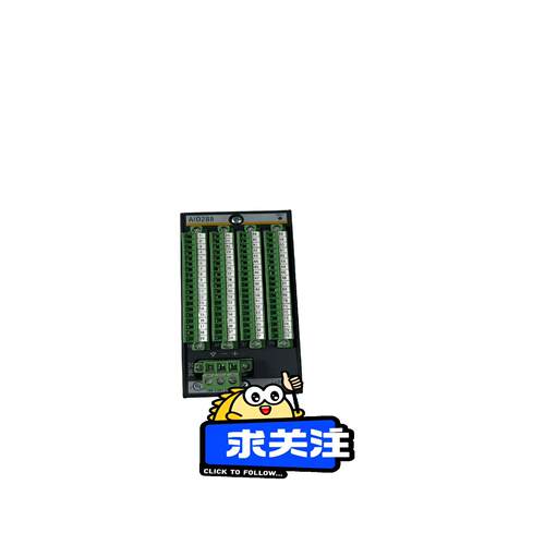 BACHMANN  AIO288 模块(念奴配件）