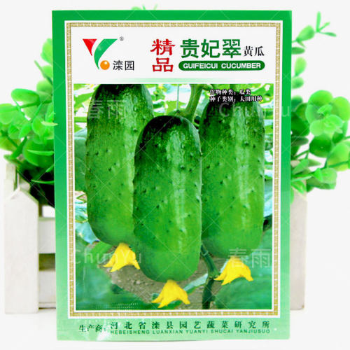 胡瓜价格 胡瓜图片 星期三