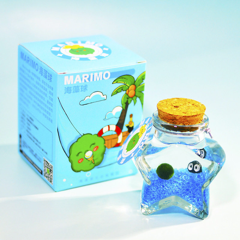 marimo海藻球生态瓶套装
