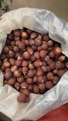 贵州山货无患子自然晒干