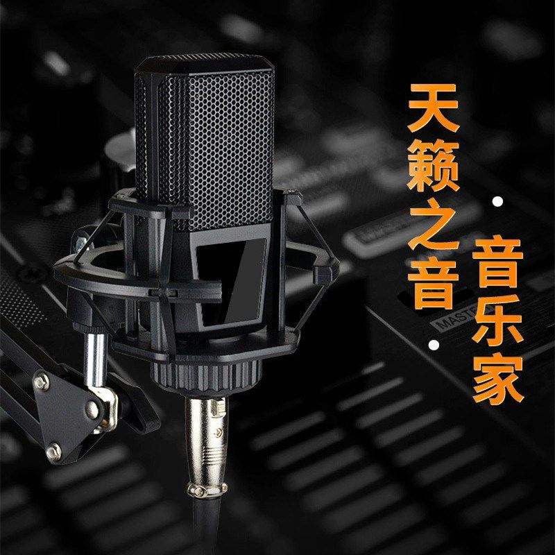 awle/艾维乐 aw-240电脑内外置声卡电容麦克风48v大振膜专业录