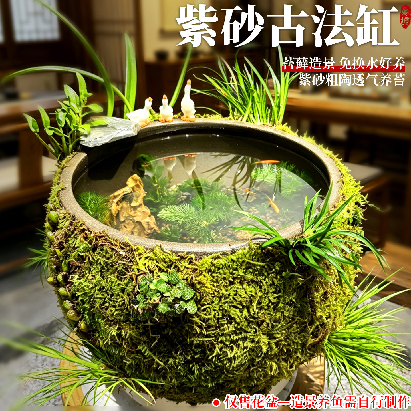 紫砂粗陶透气渗水生态苔藓盆青苔石斛古法养鱼缸有孔花盆大号种花