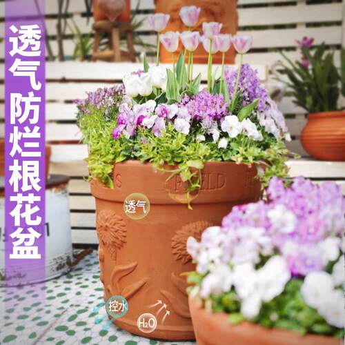红陶欧式透气性好助根系生长