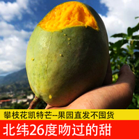 攀枝花凱特芒果北緯26度吻過的甜