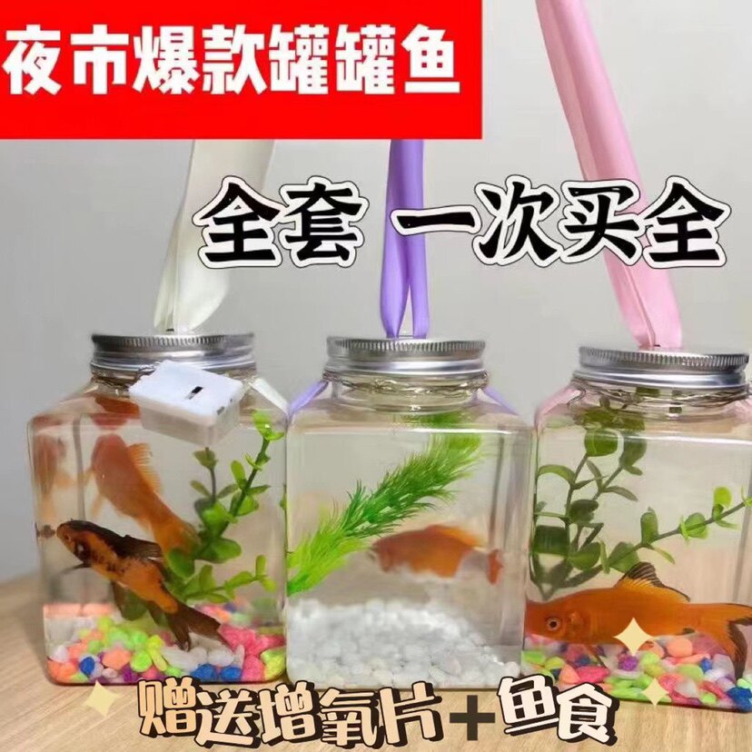 网红罐罐发光泡泡鱼方形斗鱼生态罐