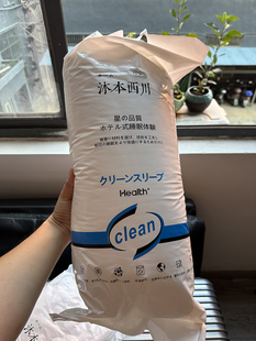 出口岛国单外贸原单羽丝抗菌棉松软成人不变形枕头五星级酒店枕芯