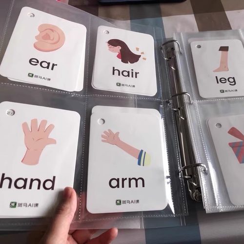 儿童识字早教拼音字母卡片收纳册