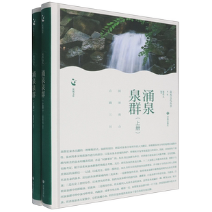 上下 精 泉水文化丛书 董希文 涌泉泉群 泉城文库 济南 新华正版