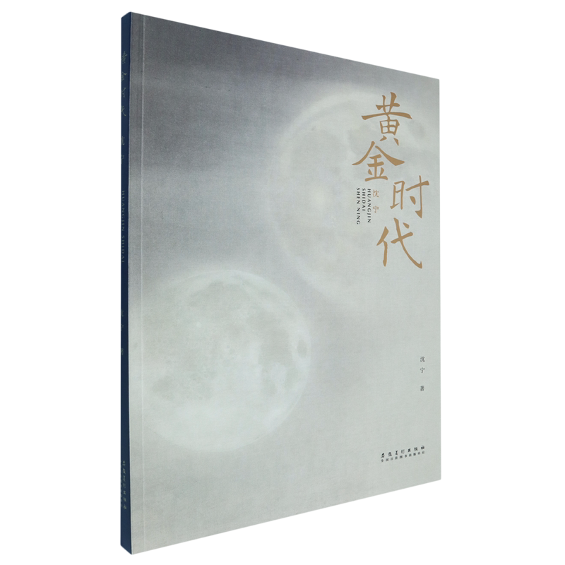 【新华正版】黄金时代(沈宁) 沈宁 安徽美术