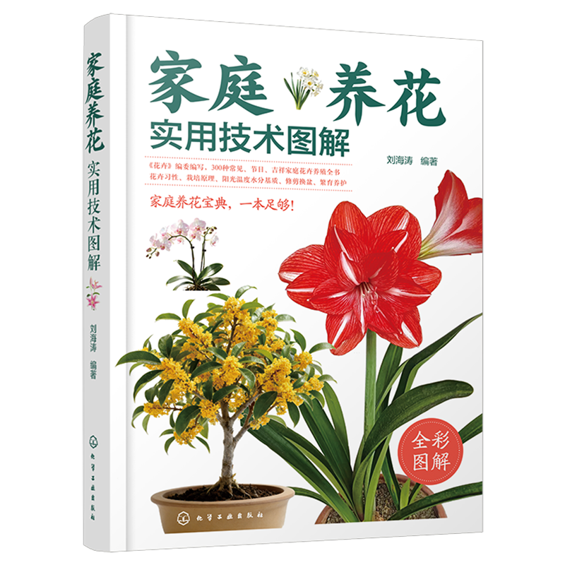 【新华正版】家庭养花实用技术图解 刘海涛 化学工业