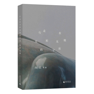 【新华正版】行走在无形无垠的宇宙 张玉琴 广西师大