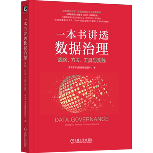 【新华正版】一本书讲透数据治理(战略方法工具与实践全数联数据治理知识体系认证指定教材)  机械工业