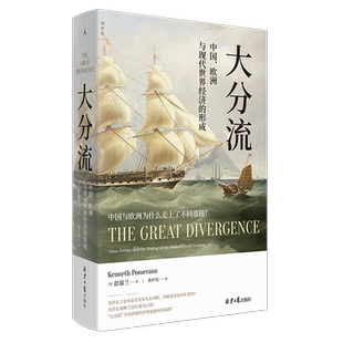 中国欧洲与现代世界经济 形成 精 彭慕兰 大分流 美 北京日报 新华正版