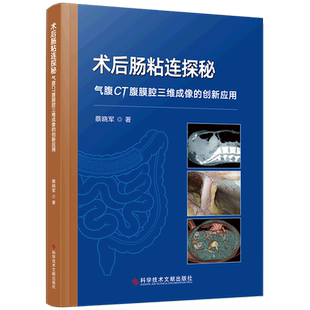 术后肠粘连探秘:气腹CT腹膜腔三维成像的创新应用