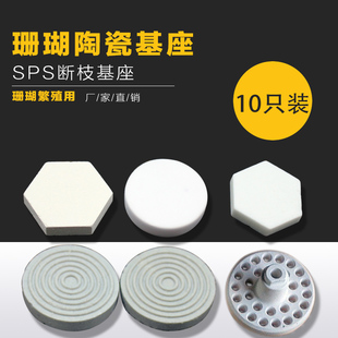 海水珊瑚SPS断枝基座 繁殖用纽扣基座 T型托盘 柱式支架