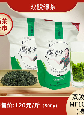 2026年新茶上市双骏绿茶MF168100毛峰系列浓香型茶500g