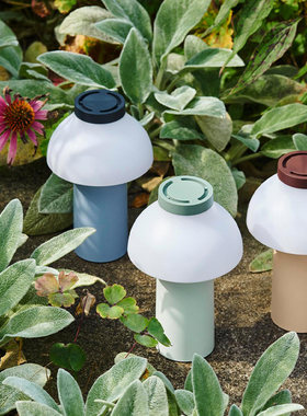 HAY丹麦 PC Portable 便携式充电可调光极简卧室床头书房装饰台灯