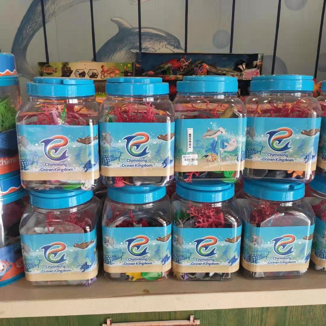 中性男女通用长盒12只海洋动物