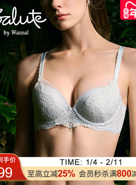 Salute莎露特  欧风刺绣蕾丝聚拢丰盈乳沟小胸文胸 LB1153